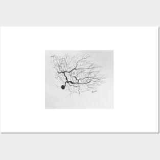 Pen and Ink Neuron Drawing Posters and Art